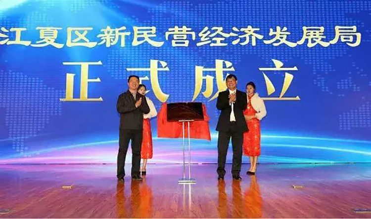 江夏區新民營經濟發展大會03.jpg
